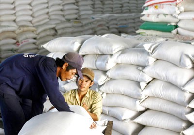 Rice being purchased for stockpiling in Can Tho City (Photo: SGGP)